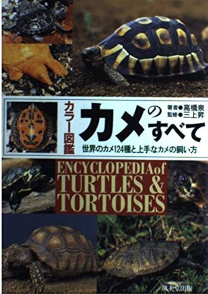 【亀 】ページ　　リクエスト商品のため モノ様 リクエスト 7点 まとめ商品 - メルカリ
